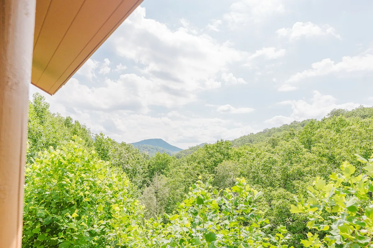 A panoramic view of lush green trees with the majestic Smoky Mountains rising in the distance under a cloudy sky. The scene evokes a sense of adventure and natural beauty, reflecting the area's hiking, wildlife, and outdoor opportunities.